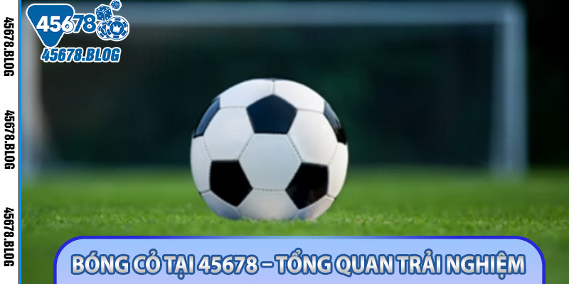 Bóng cỏ tại 45678 – Tổng quan trải nghiệm
