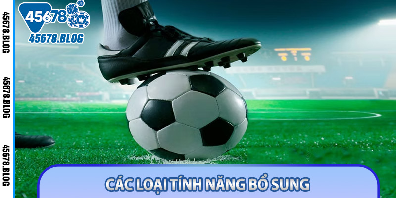 Các loại tính năng bổ sung