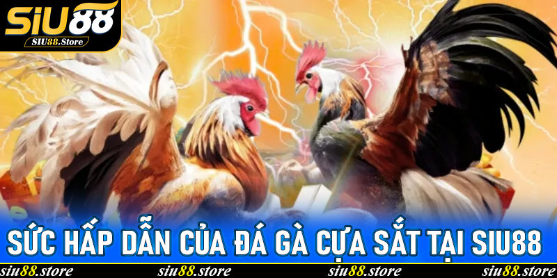 Đá Gà Cựa Sắt – Trò Chơi Kịch Tính Tại Siu88