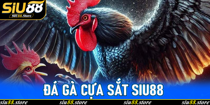 Đá Gà Cựa Sắt Siu88 – Chiến Thuật Và Mẹo Thắng Liên Tiếp